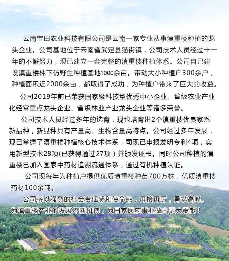BG大游集团6.jpg
