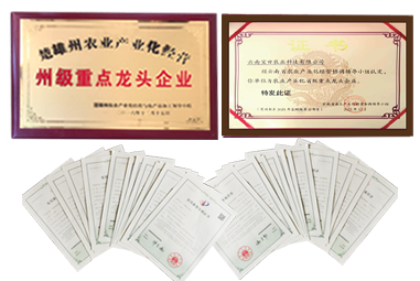 BG大游集团1.png
