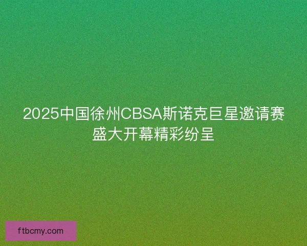 2025中国徐州CBSA斯诺克巨星邀请赛盛大开幕精彩纷呈